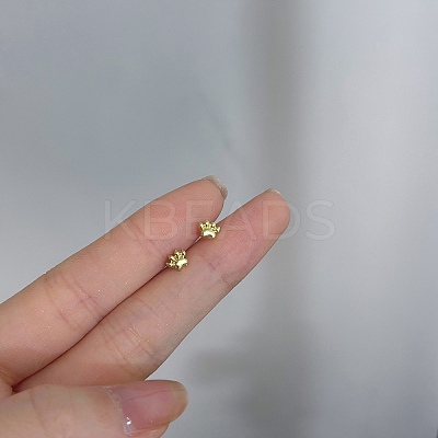 Alloy Earrings for Women FS-WG98937-112-1