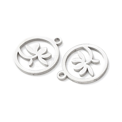 304 Stainless Steel Charms STAS-D202-05P-1