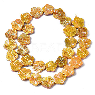 Natural Freshwater Shell Beads Strands SHEL-Q025-002E-1