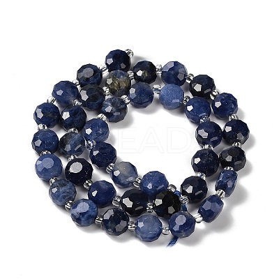 Natural Sodalite Beads Strands G-B153-A11-1