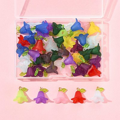 50Pcs Transparent Acrylic Pendants PALLOY-FS00043-05-1