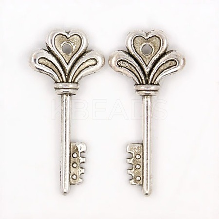 Tibetan Style Alloy Pendants LS-TIBEP-16487-AS-FF-1