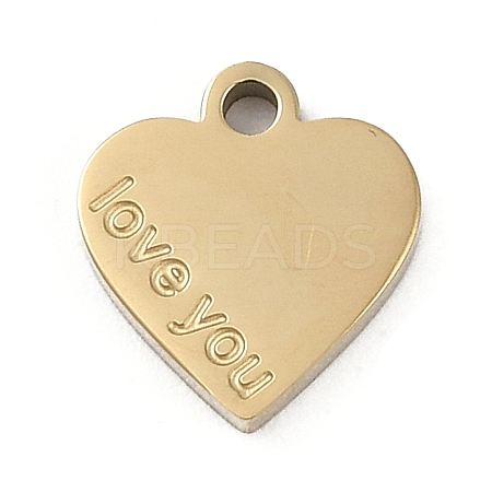 304 Stainless Steel Charms STAS-I325-136A-G-1
