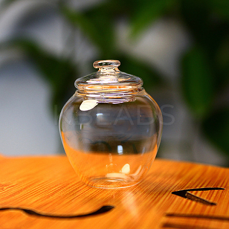 Mini Glass Jar BOTT-PW0001-246D-1