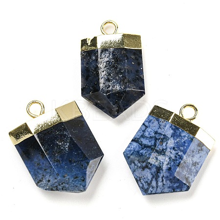Natural Sodalite Pointed Pendants G-M431-05G-07-1