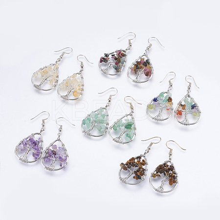 Natural Gemstone Dangle Earrings EJEW-F147-H-1
