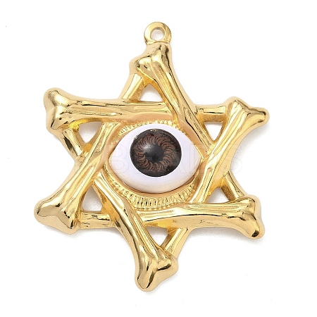 304 Stainless Steel & Resin & Glass Pendants STAS-G371-15G-02-1