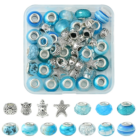 DIY Tibetan Style Alloy & Resin European Beads Making Finding Kits DIY-FS0006-78F-1