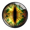 Mixed Animal Eye Pattern Glass Cabochons AJEW-WH0070-08D-1