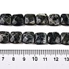 Natural Kambaba Jasper Beads Strands G-T138-171-5
