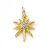 Brass Micro Pave Cubic Zirconia Charms ZIRC-F132-34G-1