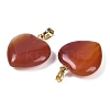Dyed & Heated Natural Carnelian Pendants G-G956-B52-G-2