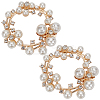 Plastic Imitation Pearl Shoe Decoration FIND-GF0004-99-1