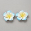 Two Tone Resin Cabochons RESI-WH20010-01E-1