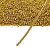 MIYUKI Delica Beads LS-X-SEED-J020-DB0665-4
