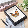 DIY Insect Specimen Display Box Kits DIY-GL0006-09-4