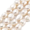 Natural Cultured Freshwater Pearl Beads Strands PEAR-P062-30B-2
