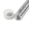 Plastic Glitter Powder Fillers AJEW-H144-01B-1