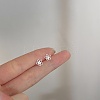 Alloy Earrings for Women FS-WG98937-43-1
