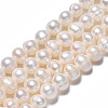 Natural Cultured Freshwater Pearl Beads Strands PEAR-N013-06B-3