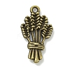 Tibetan Style Alloy Pendants TIBE-I026-6015AB-1