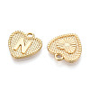 Alloy Pendants PALLOY-N157-001N-NR-2