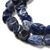 Natural Sodalite Beads Strands G-P497-01E-55-4