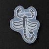 DIY Display Silicone Molds DIY-P074-07C-3