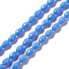 Faceted Glass Beads Strands LS-GLAA-E037-01D-1