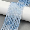 Natural Aquamarine Beads Strands LS-G-P553-F10-02-1