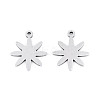304 Stainless Steel Charms STAS-P433-03P-1