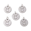 Non-Tarnish 304 Stainless Steel Charms STAS-Q201-T445-2S-2