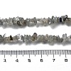 Natural Supper 7 Rutilated Quartz Chip Beaded Necklaces for Men Women NJEW-G159-01W-5