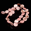 Natural Shell Beads Strands X-PBB251Y-6-2