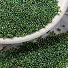 MIYUKI Round Rocailles Beads SEED-X0056-RR0341-1