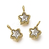 304 Stainless Steel Micro Pave Cubic Zirconia Charms STAS-U027-02G-01-1