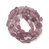Natural Madagascar Rose Quartz Beads Strands G-Q060-D11-3