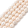 Natural Cultured Freshwater Pearl Beads Strands PEAR-I007-01F-02A-2