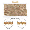 Sparkle Braided Polyester Lace Trim OCOR-WH0079-24A-2
