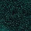 MIYUKI Round Rocailles Beads SEED-X0055-RR2405-3
