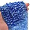 Transparent Painted Glass Beads Strands DGLA-A034-T3mm-A01-2