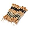 10 Skeins 6-Ply Polyester Embroidery Floss OCOR-K006-A55-1