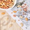 150G 5 Style Opaque Resin Imitation Nuts Ornaments RESI-CA0001-43-4
