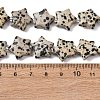 Natural Dalmatian Jasper Beads Strands G-K359-E12-3