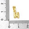 Rack Plating Brass Charms KK-C053-04G-N-3
