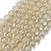 Frosted Transparent Glass Bead Strands GLAA-P065-6mm-01-2
