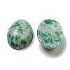 Natural Green Spot Jasper Cabochons G-C115-01A-12-2