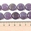 Natural Lepidolite/Purple Mica Stone Beads Strands G-L648-B09-15mm-6