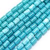 Natural Malaysia Jade Beads Strands G-B165-E06-8x12mm-2