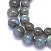 Natural Labradorite Beads Strands G-F602-04-8mm-01-3